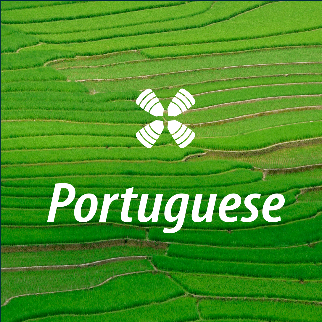 1 Year Daily Audio Bible Português