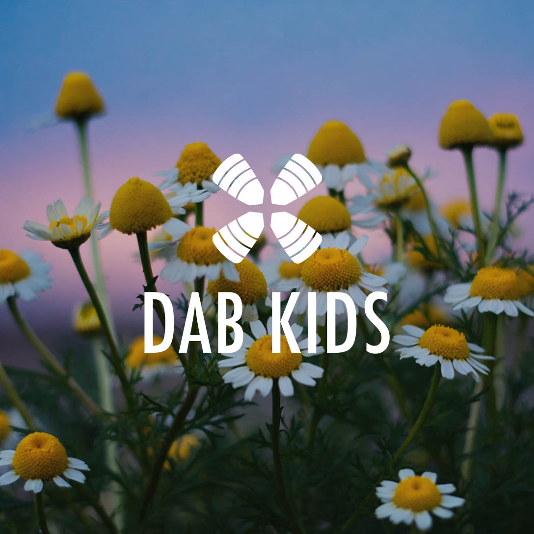 1 Year Daily Audio Bible Kids artwork