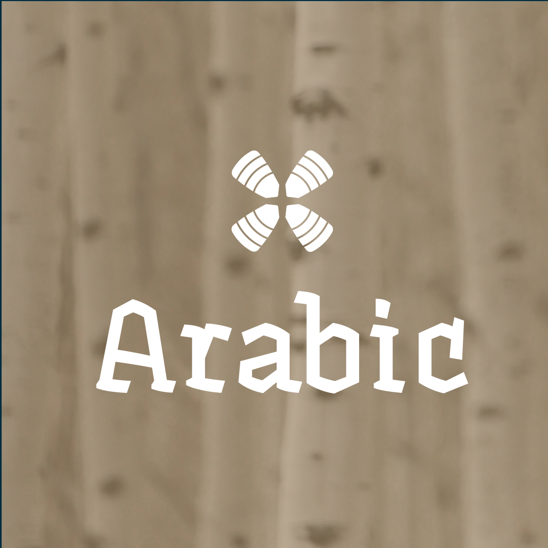 1 Year Daily Audio Bible الكتاب المقدس الصوتي اليومي (العربية) podcast artwork