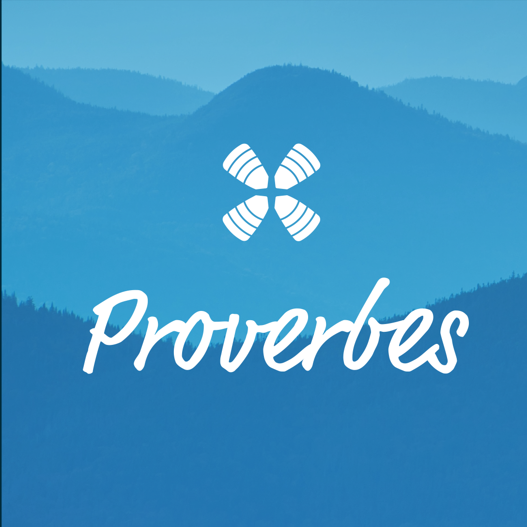 1 Year Daily Audio Bible Proverbes podcast artwork