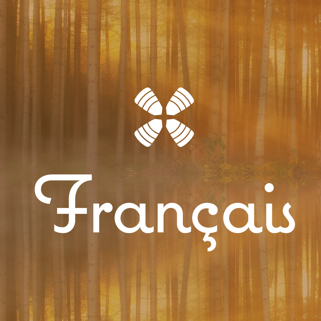1 Year Daily Audio Bible Français podcast artwork